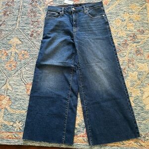 Banan Republic Wide Leg Crop
